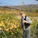 Stary winiarz w Boleradicach